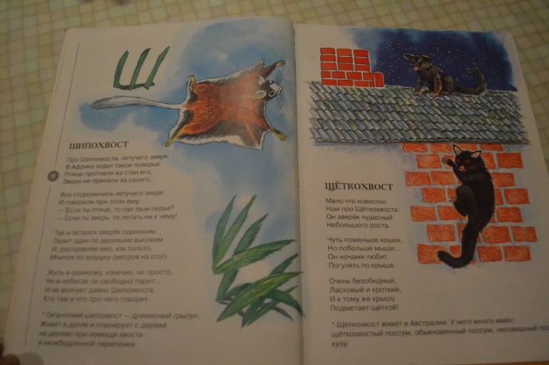 Библиотечное. Зоология для детей. Усачев.