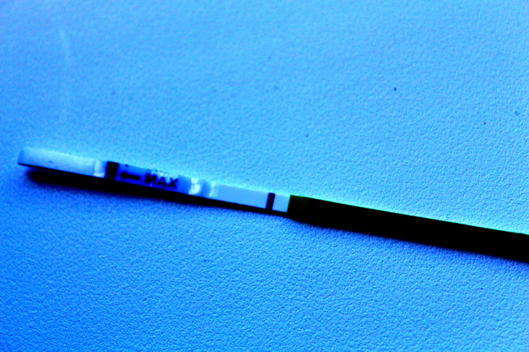 делать ли мне дальше тесты?