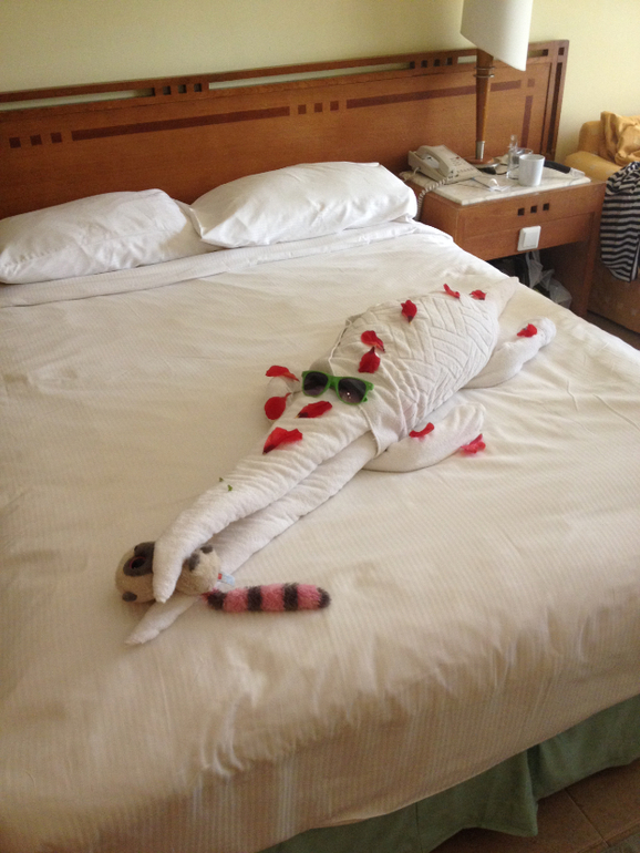 Египет.Хургада.Hilton Hurghada Resort.