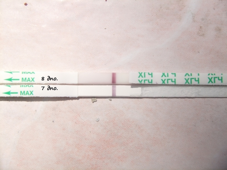 Посмотрите пожалуйста....