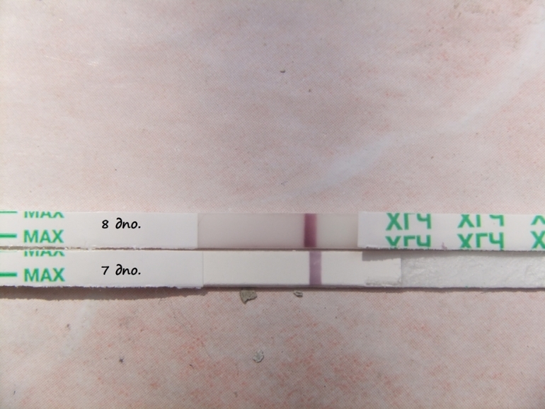 Посмотрите пожалуйста....