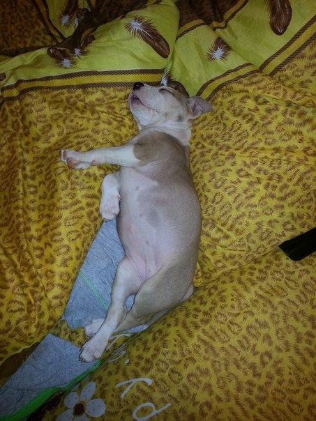 Наша Адочка