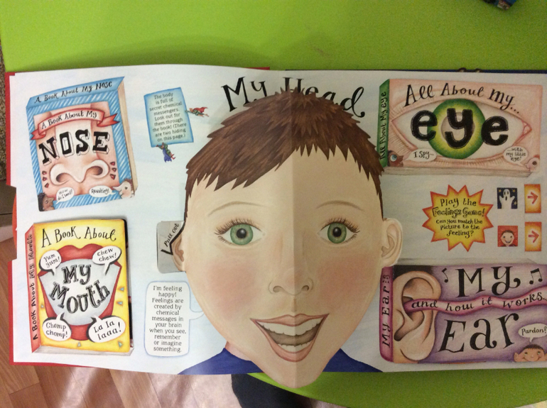 Часть 2. Наши книги pop-up