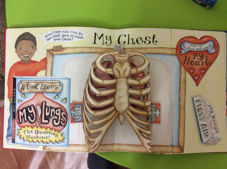 Часть 2. Наши книги pop-up