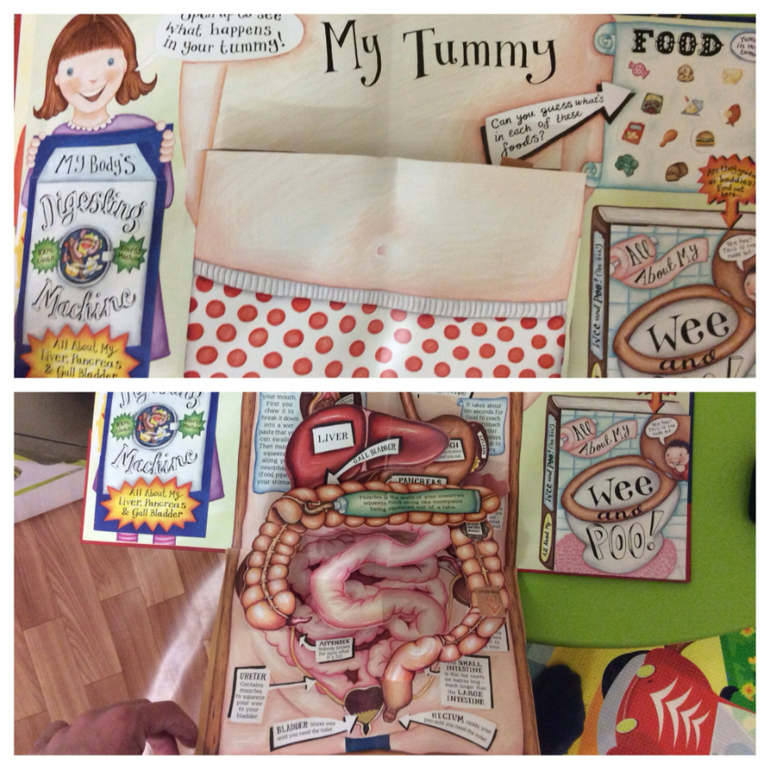 Часть 2. Наши книги pop-up