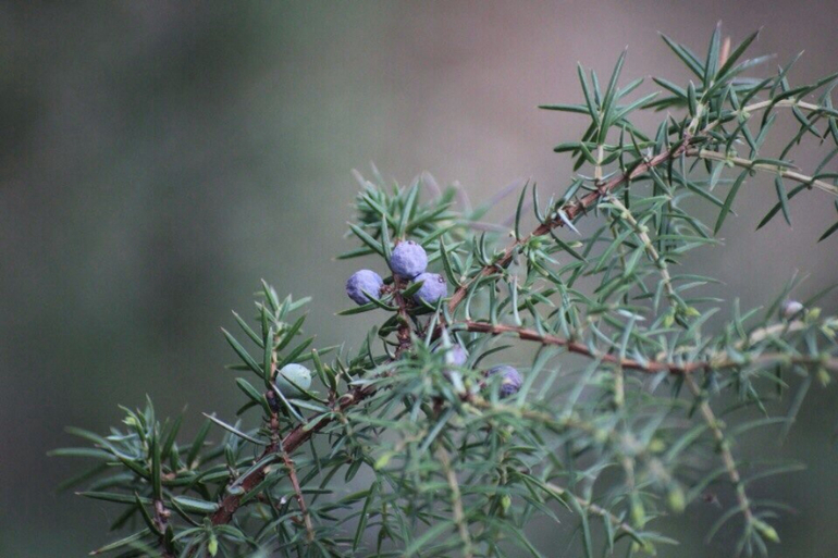 Мой любимый Селигер