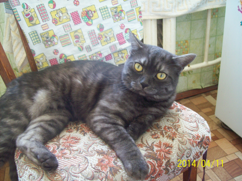 Надо показаться.