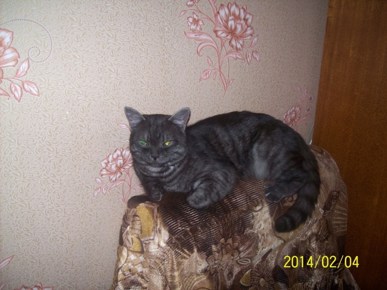 Взяли мы его чтоб ЛЮБИТЬ.