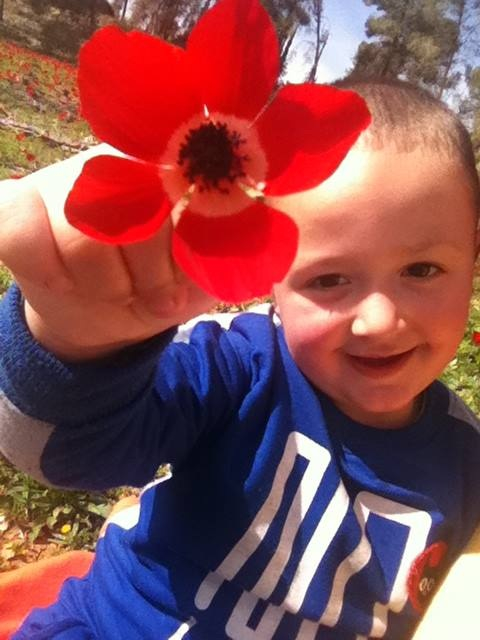 1.2.2014-суровая зима!