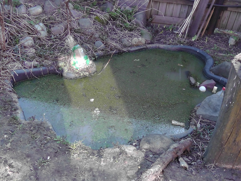 Ах, весна!!!!! Все просыпается...