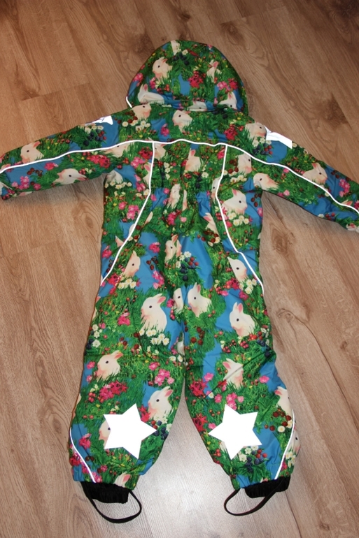 Первые ощущения от Molo