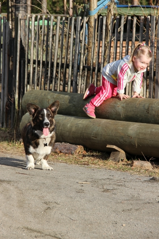 Дача-стайл от Лелейки )