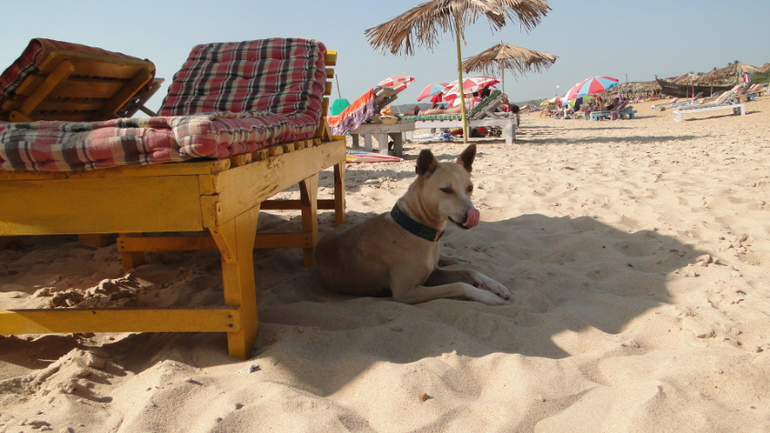 Мини- отчетик об отпуске )))