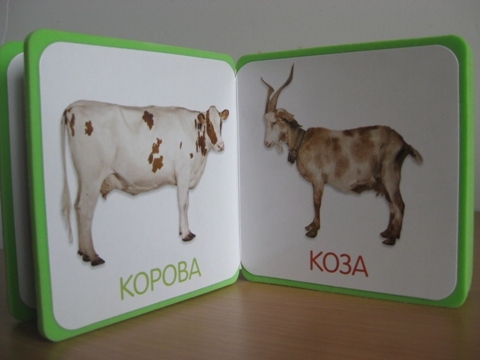 Новинки в 2 гнома (много фотографий)