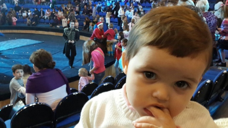 Елка , цирк огромных зверей в сокольниках