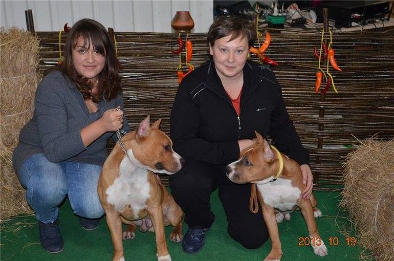 Покажу свои результаты.