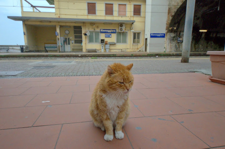 Контрольное задание № 28. "Меняем цвет объекта на фотографии с помощью кривых"