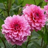 Запись Почта и курьер