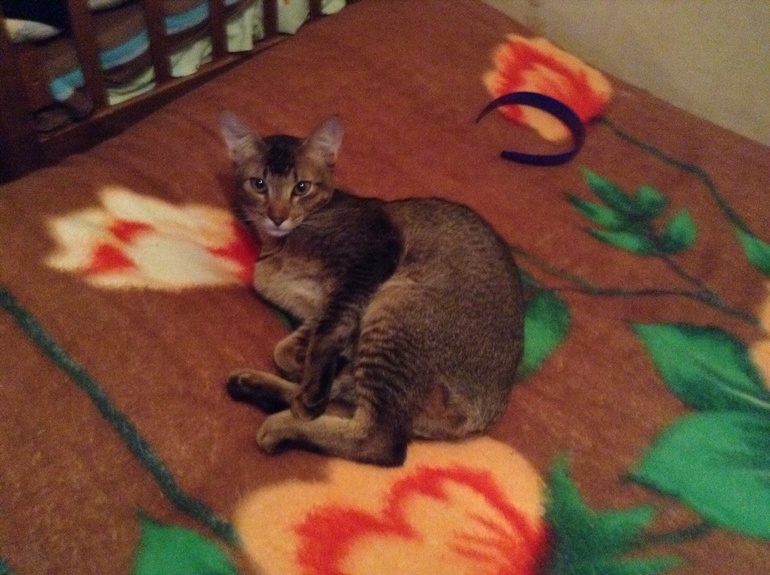 Наш Степашка)