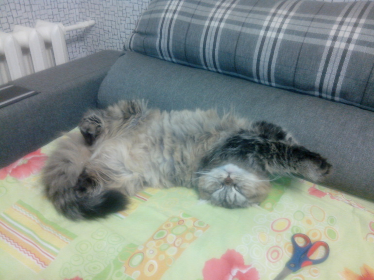 Вредности хоть отбавляй