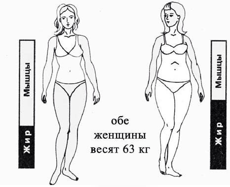Марафон стройнеющих. День 14. Принципы похудения