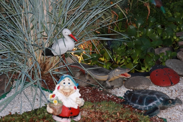 Эти фото будут моими приманочками!