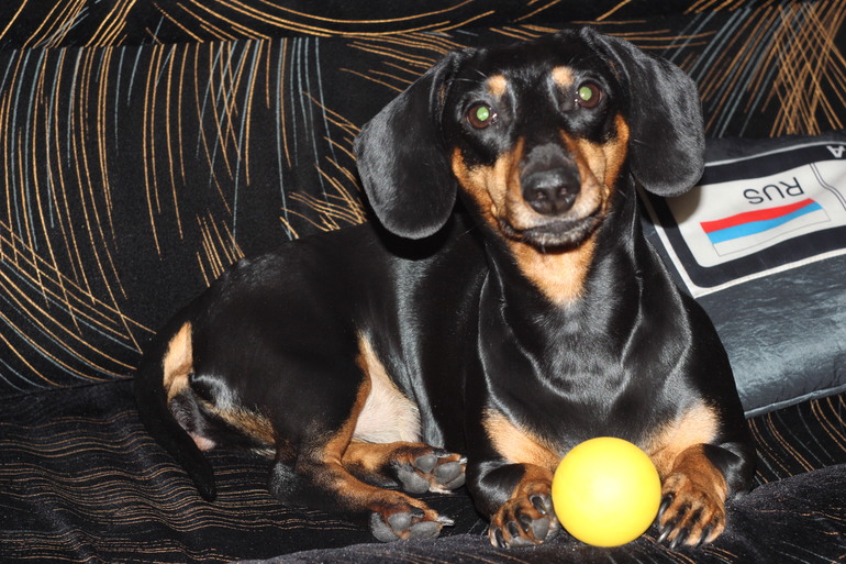 Наша любимка!