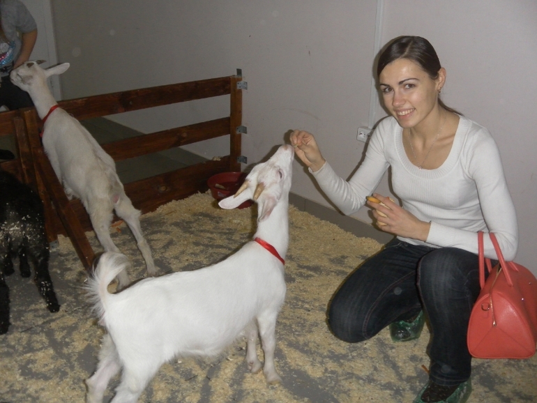 Наши Новогодние каникулы