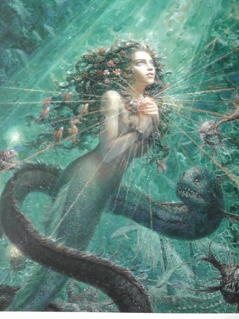 полки уплотняются