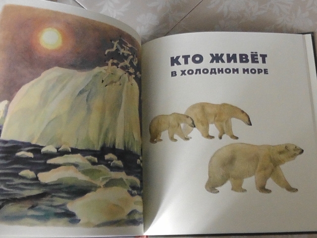 полки уплотняются