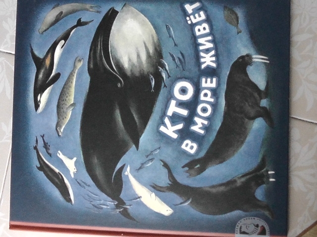 полки уплотняются