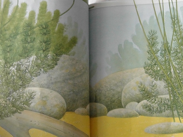 полки уплотняются