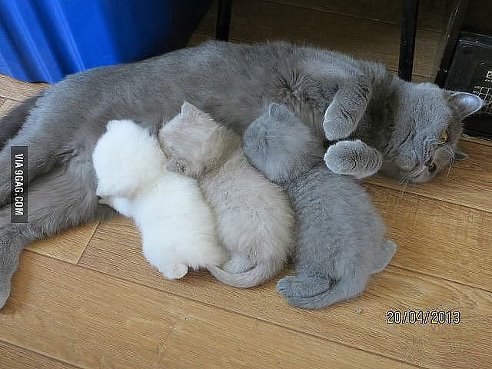 КРАСКА ЗАКОНЧИЛАСЬ :))))
