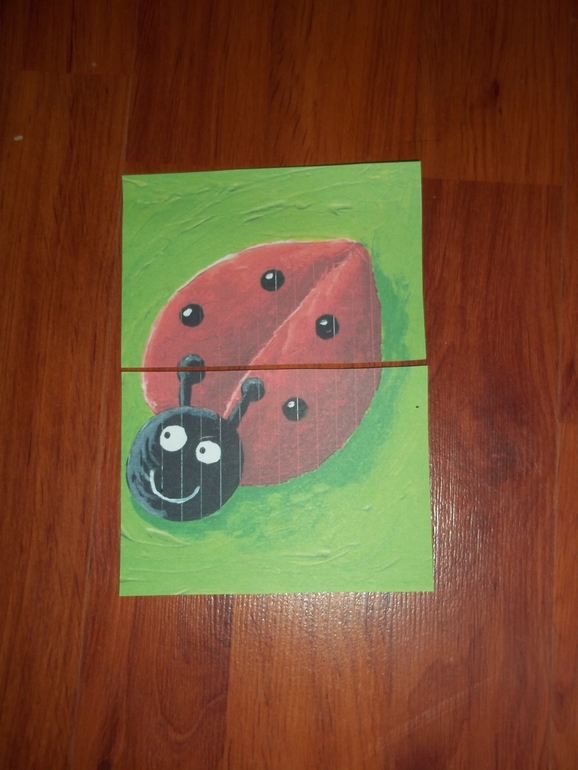 ТН Цвета (красный, зелёный)