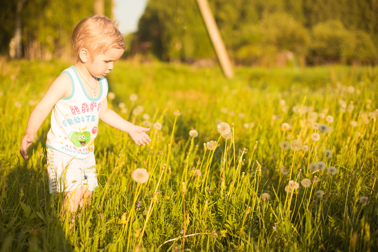 Съемка против солнца. Что вышло?