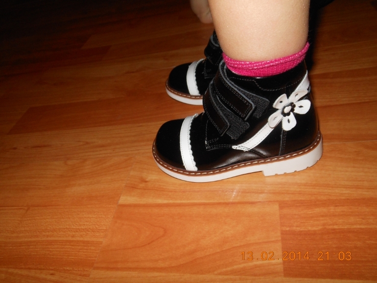 Вот и наши Хвастики))