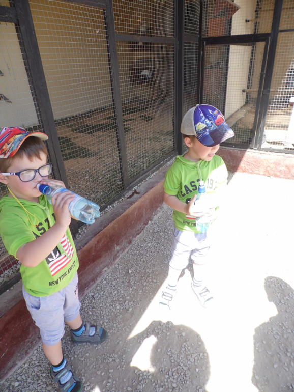 Устроили мальчишкам выходной))