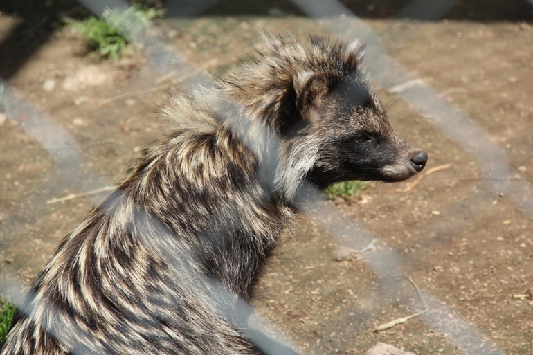 Экзотик парк. Поход с детьми строго ОБЯЗАТЕЛЕН!