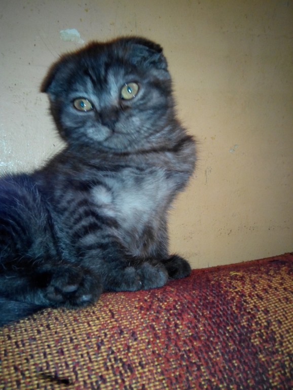 и мы растем) Тиффани!