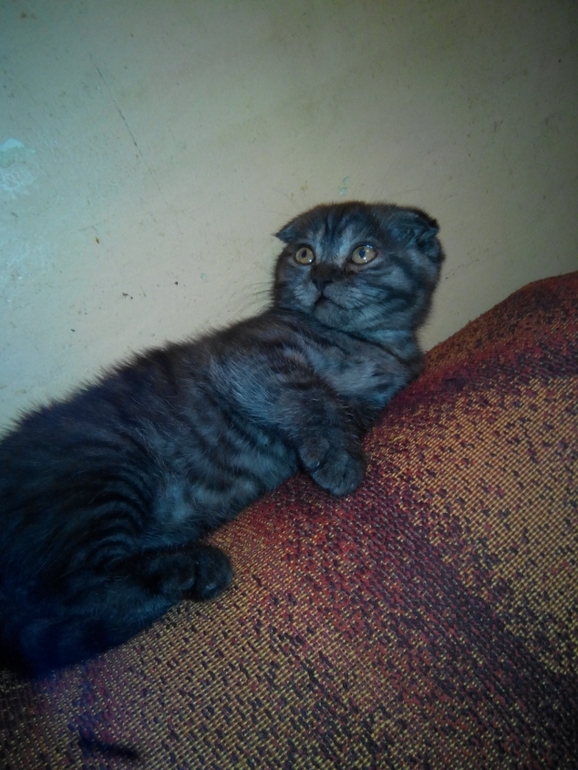 и мы растем) Тиффани!