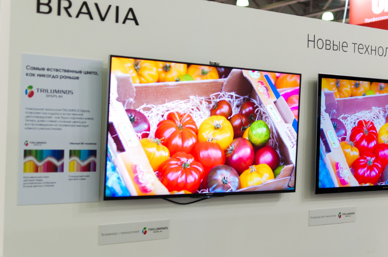 Фотовыставка в Крокусе