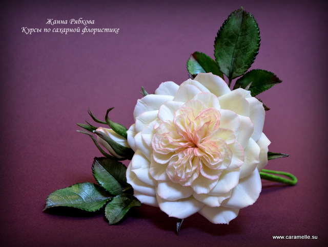 Английская роза...