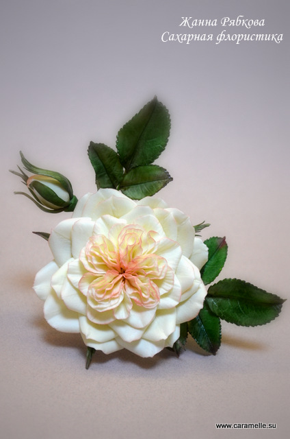 Английская роза...