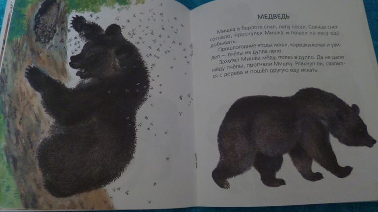 Наши любимые книжки в 2,3 г.