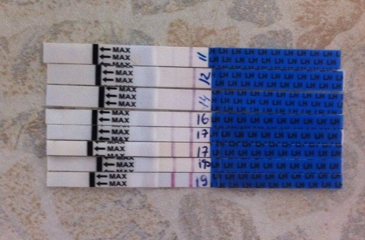 КОГДА была О?сегодня?