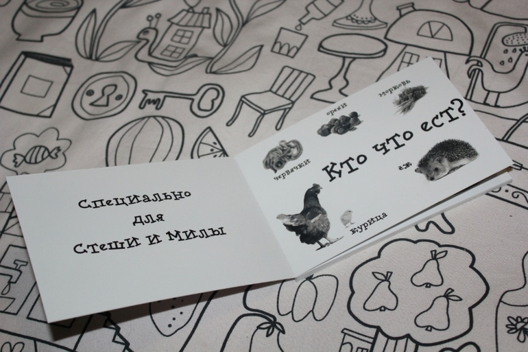 Книжка-игрушка 2 в 1