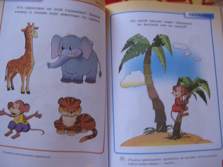 Наши развивалочки