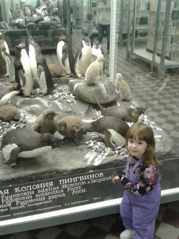 А вот чем занимались в январе и феврале...