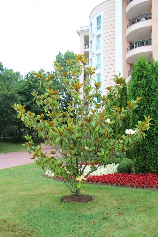 Отзыв об отеле Duni Holiday Village