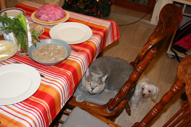 Новый год!!!